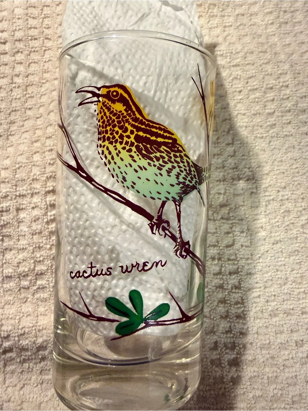 Vintage Bird-Print Glass Tumblers - Colorful Set